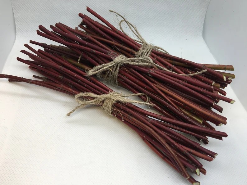 What trees are safe for budgie perches?