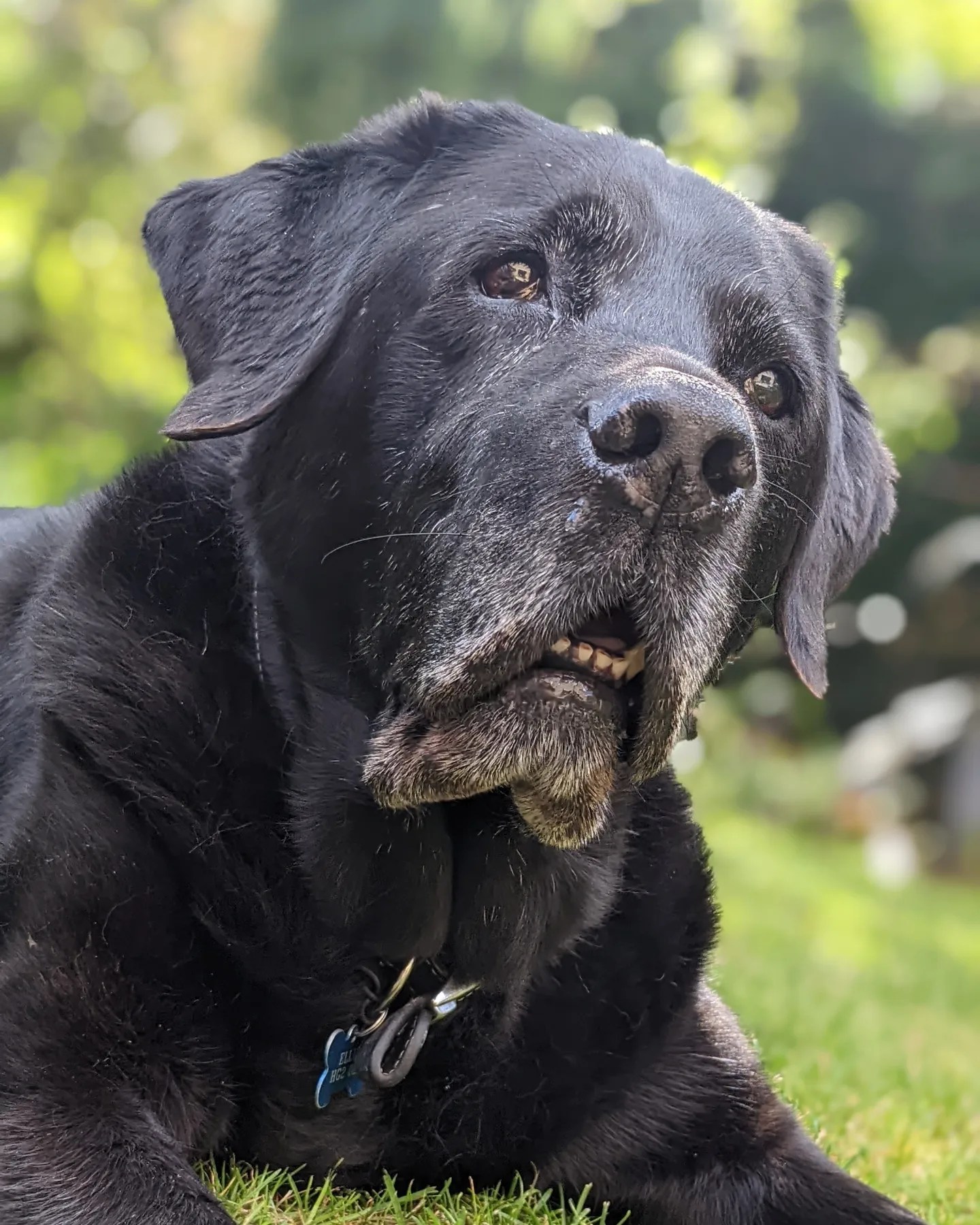 Hydrotherapy Centre Harrogate Vet Physio