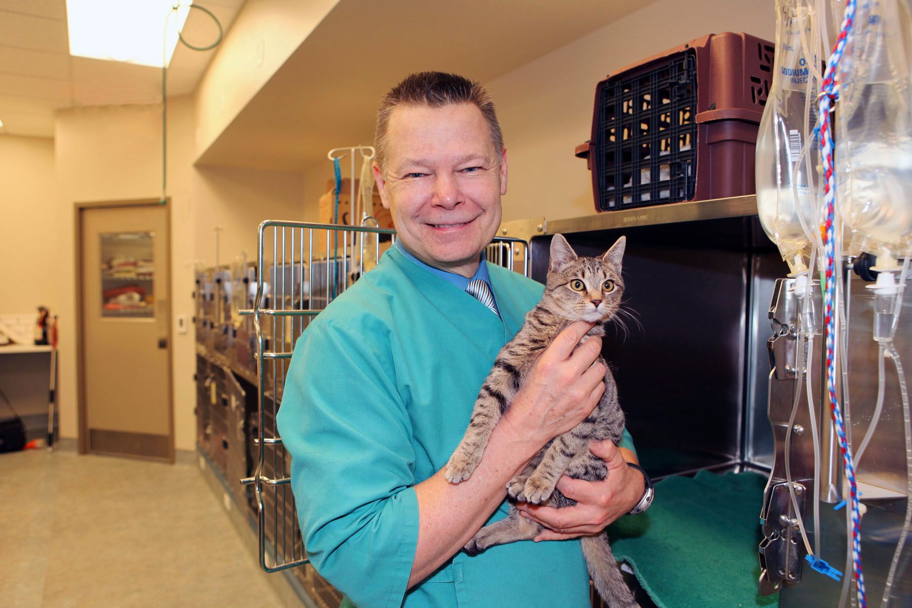 Hunterdon Hills Animal Hospital Virtual Tour