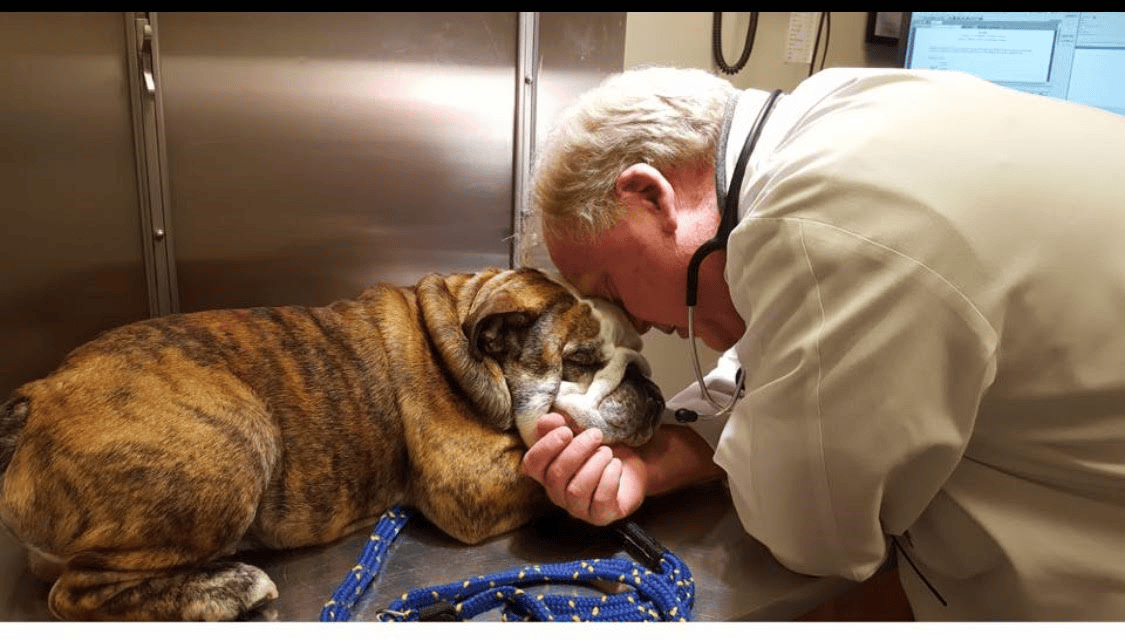 Hunterdon Hills Animal Hospital Virtual Tour