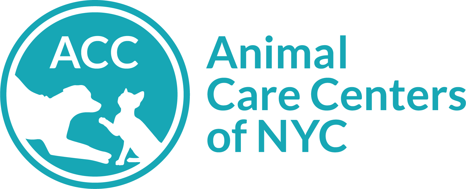 About ACC Foster Gallery