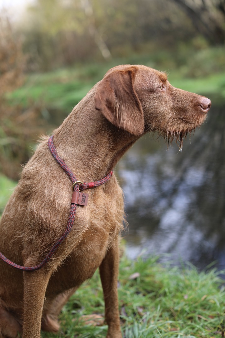 How to use a slip lead correctly