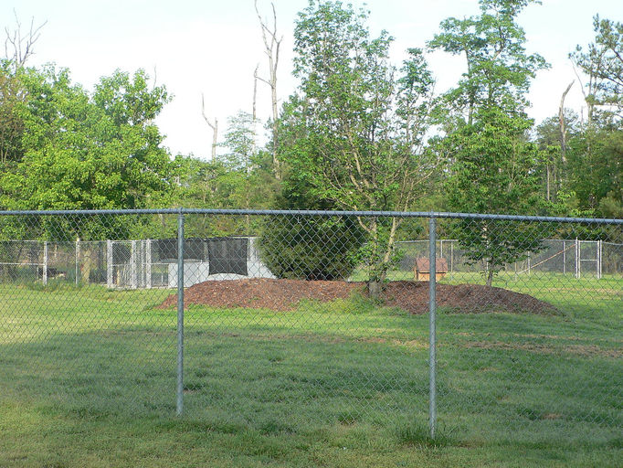 Battlefield Park Kennel Dog Kennel Dog Boarding Richmond Virginia