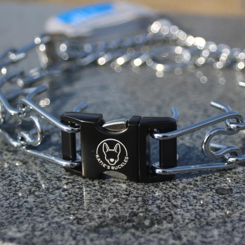 3.0mm Chrome Collar with Buckle Katie's Buckles