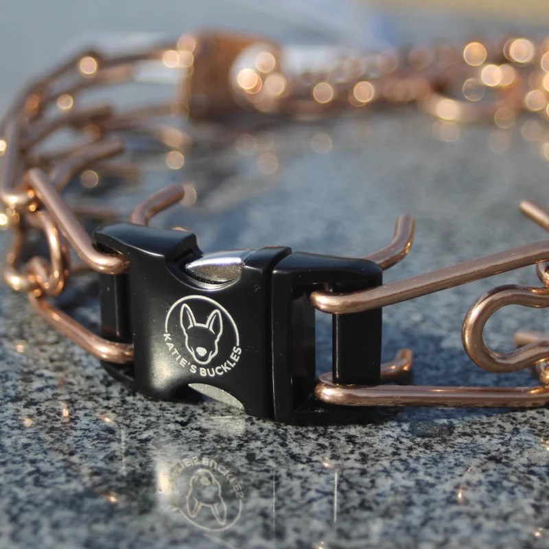 3.2mm Curogan Collar with Buckle Katie's Buckles