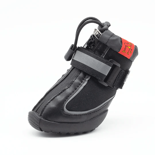 Greyhound Whippet Italian Greyhound Boots Hunnyboots Pointy Faces 2/2