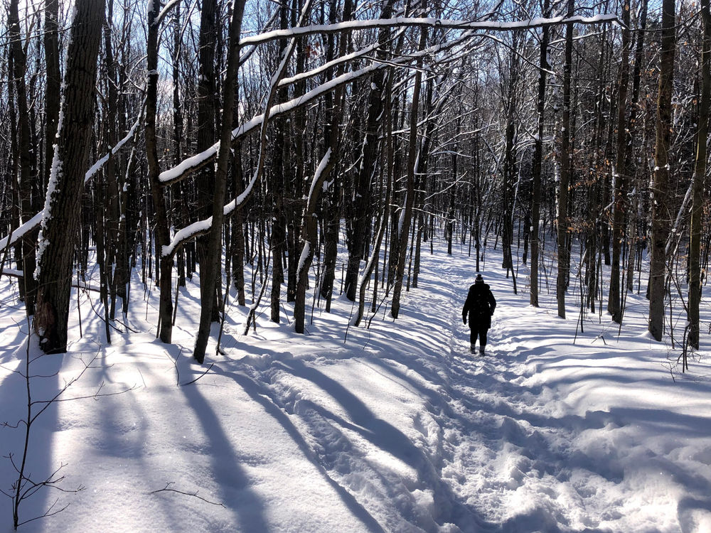 Best Hiking Trails in Durham