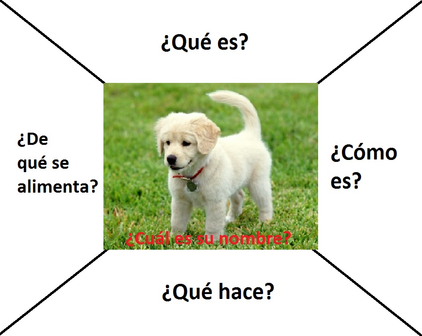 Texto descriptivo tiposdetexto