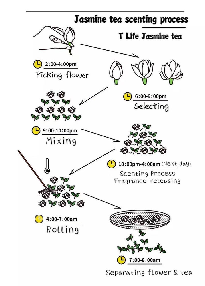 Why does premium jasmine tea have no jasmine？
