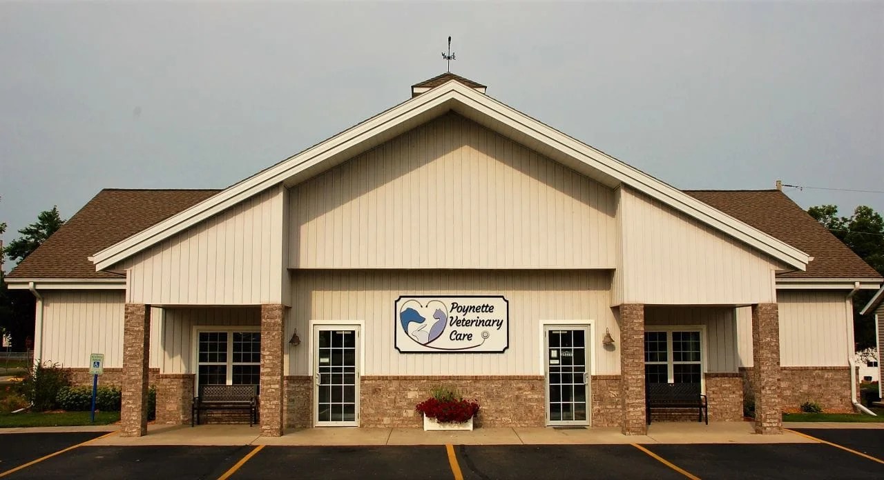 Veterinary Care Home Veterinarian in WI