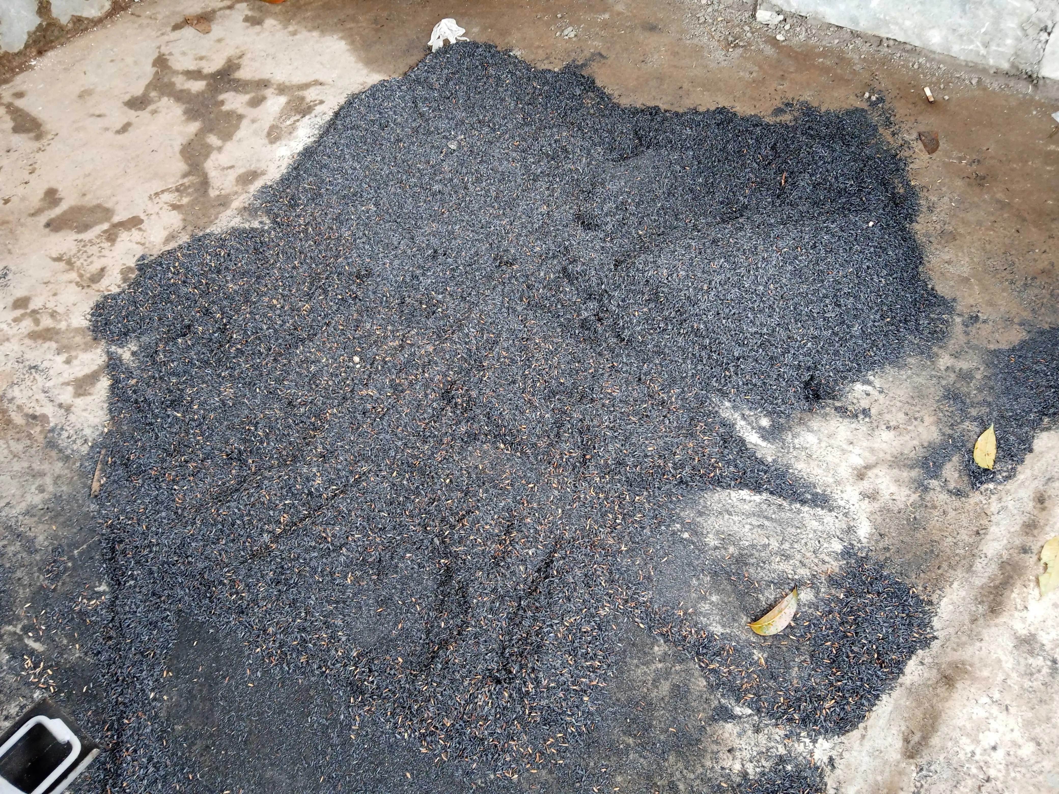 4 Sustainable Methods to Reduce Fertilizer Use