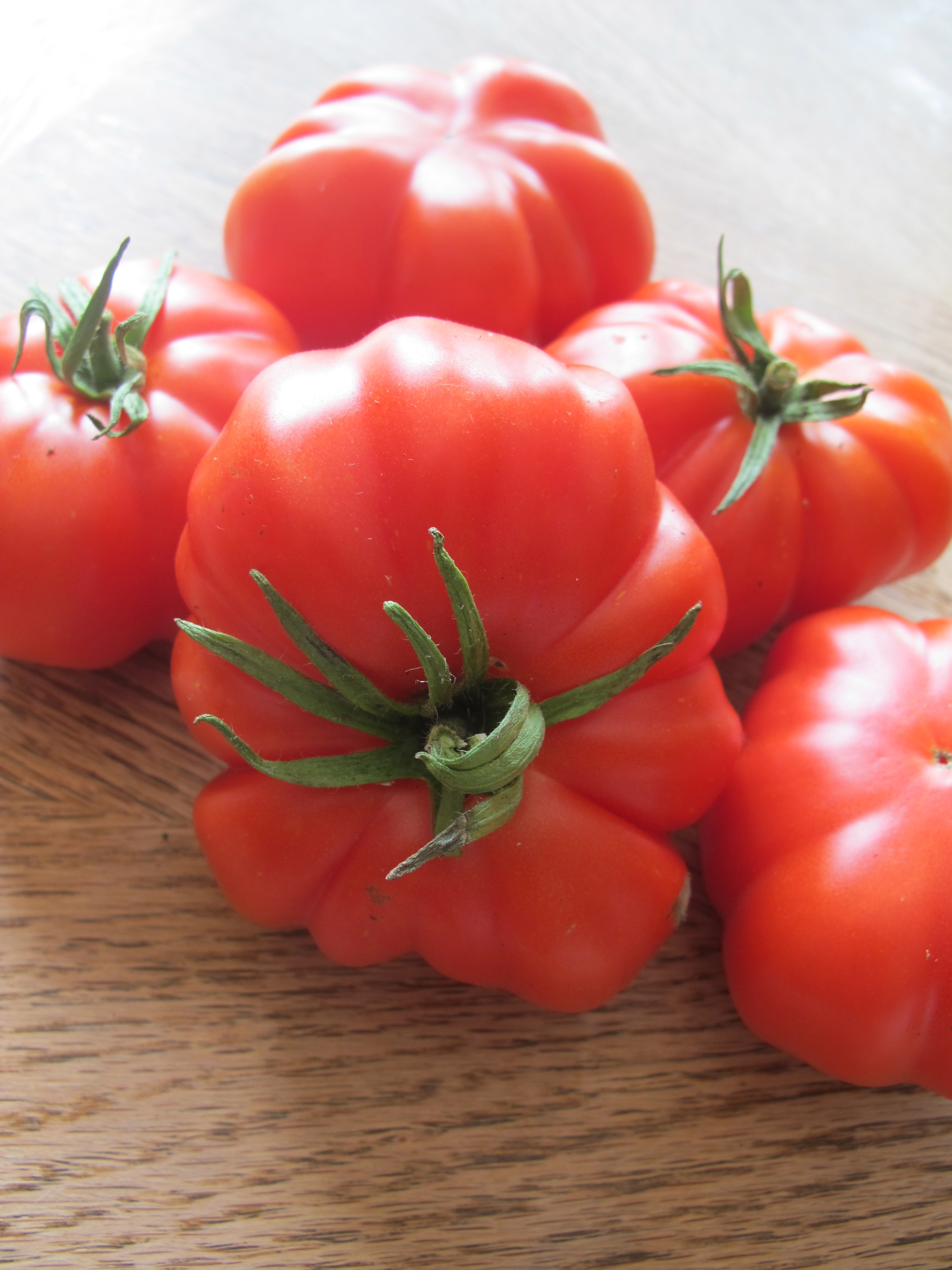 Matchbox Garden & Seed Co. Certified Organic Heirloom Seeds Canada