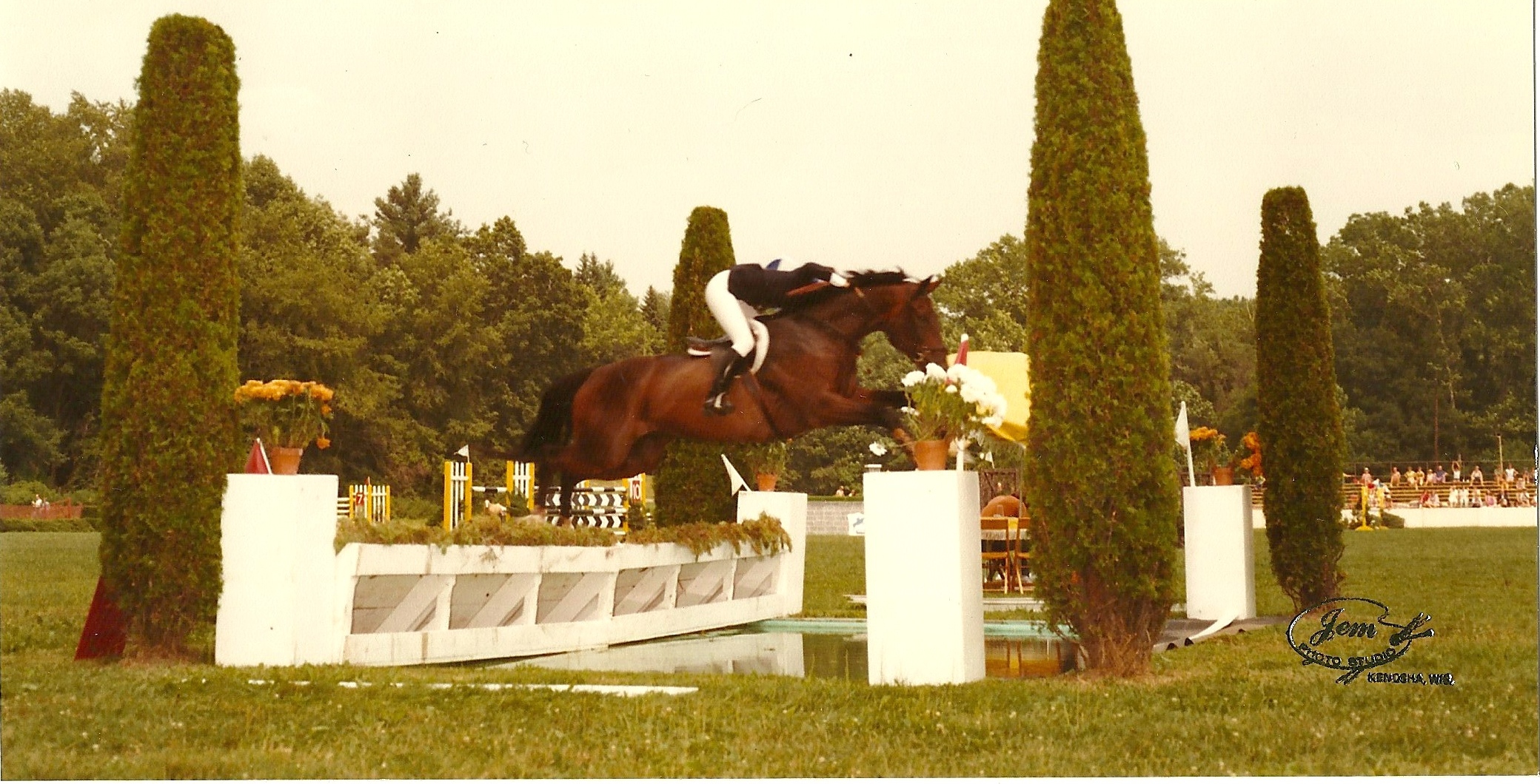 Horse trainers, riding instructors, west rupert, vt oronacah farm