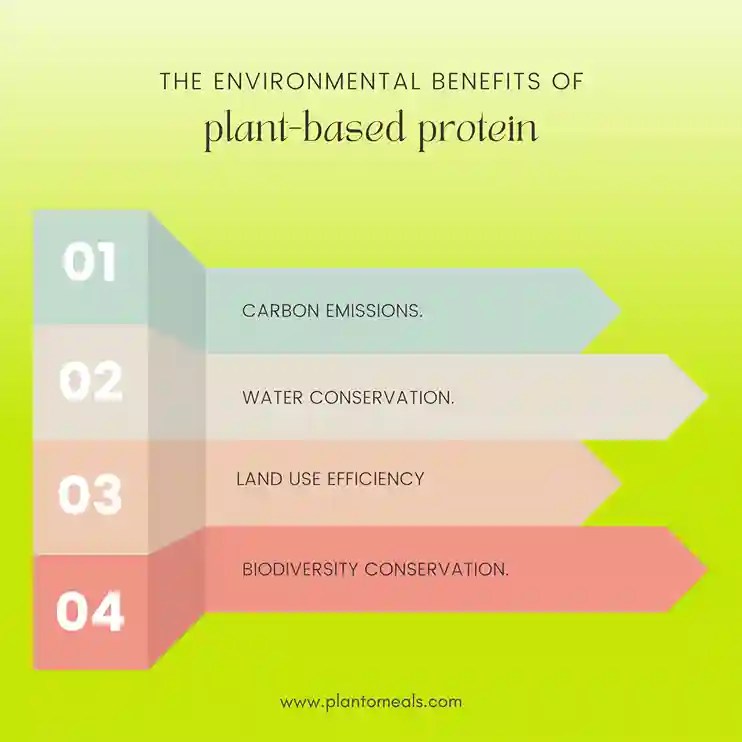 Unlock the Power of PlantBased Protein Benefits, Sources, and Recipes