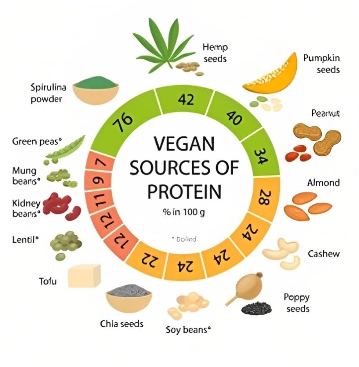 Unlock the Power of PlantBased Protein Benefits, Sources, and Recipes