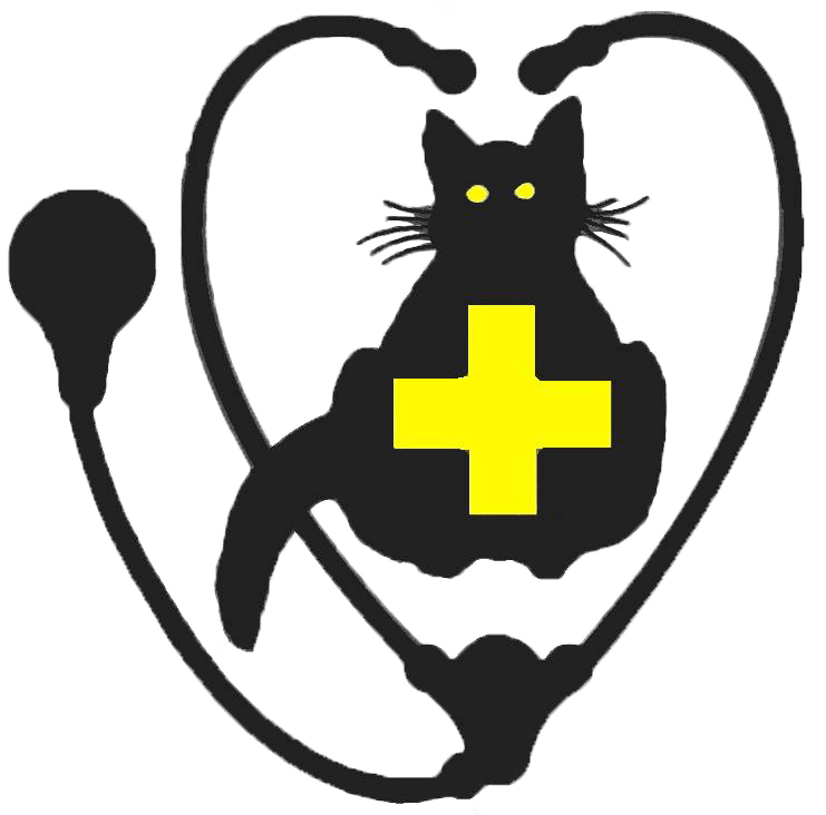 21+ Sudbury Animal Hospital CathanElliot