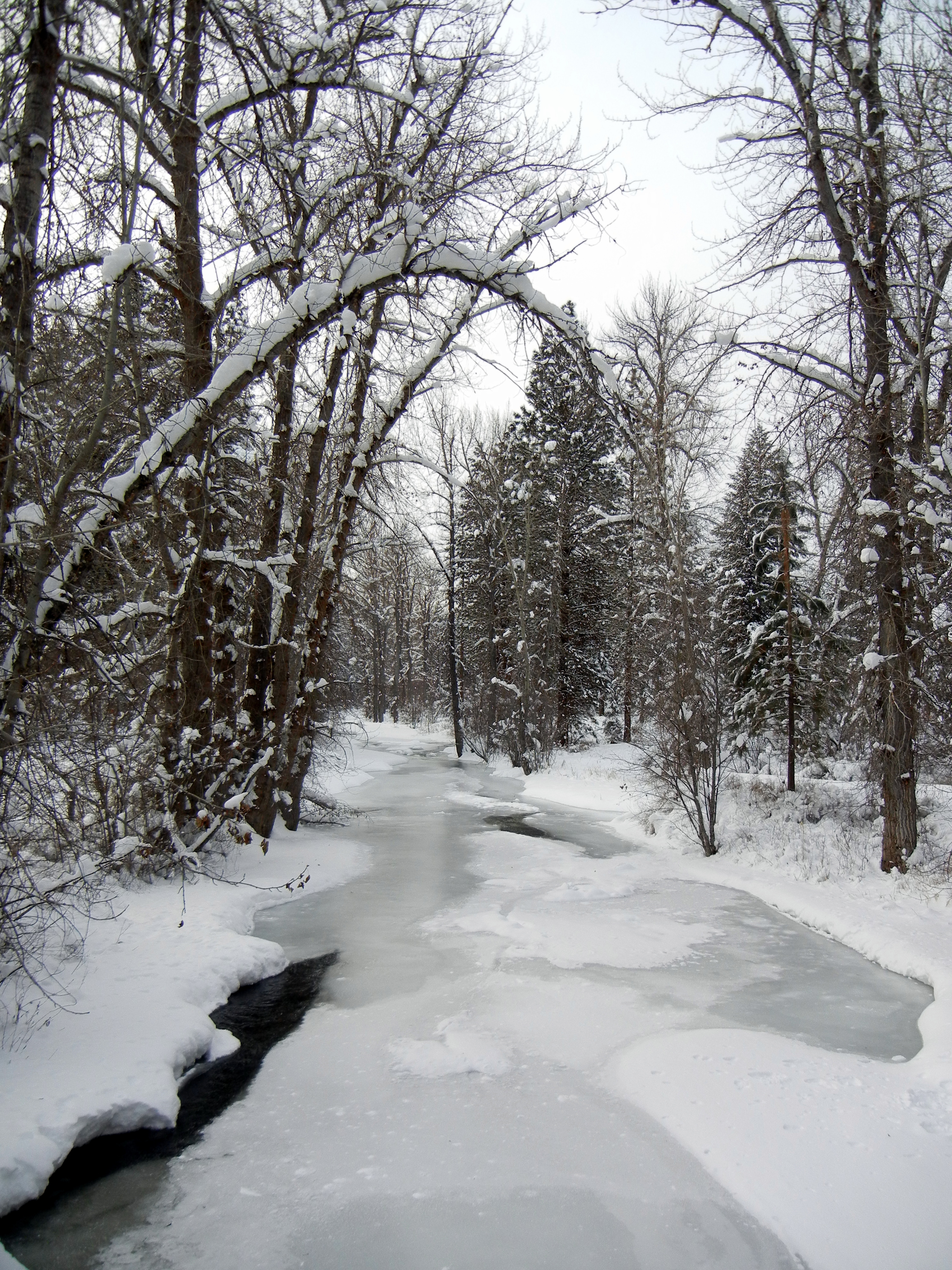 PHOTO GALLERY ninemilecc