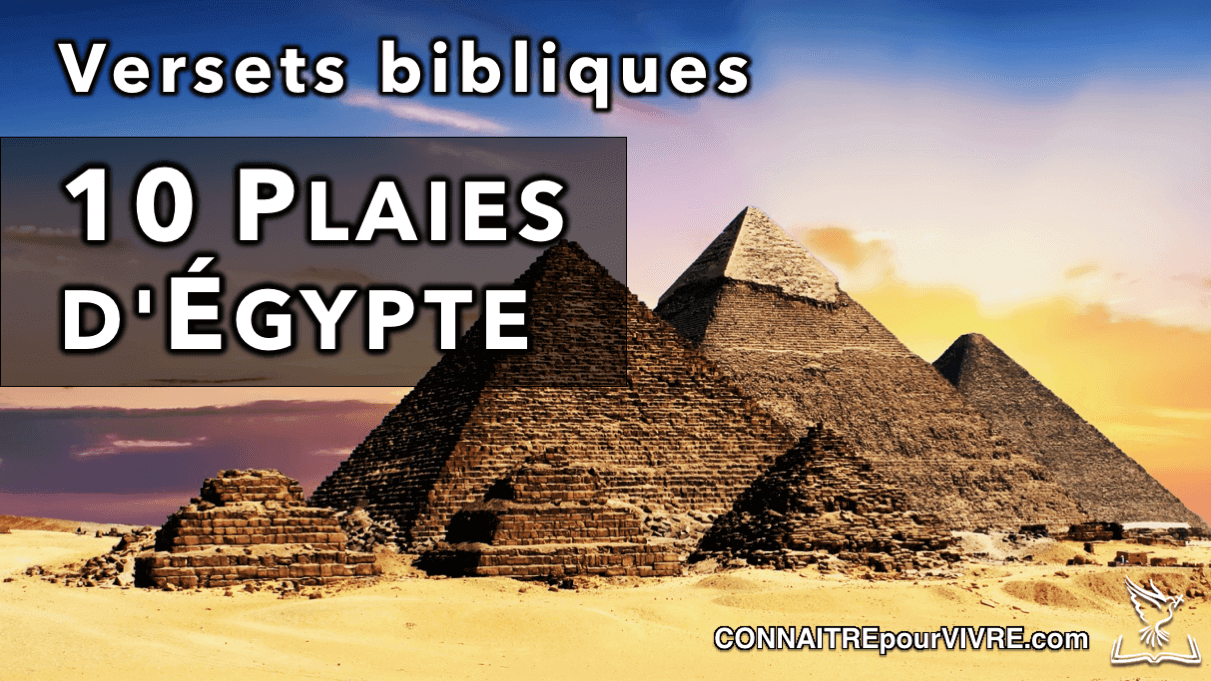 Versets bibliques sur les Dix Plaies d'Égypte ConnaitrepourVivre