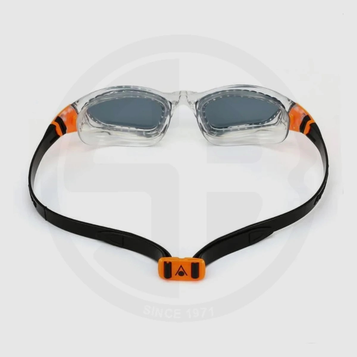 Best Swimming Goggles for Sale Shell Egypt Online