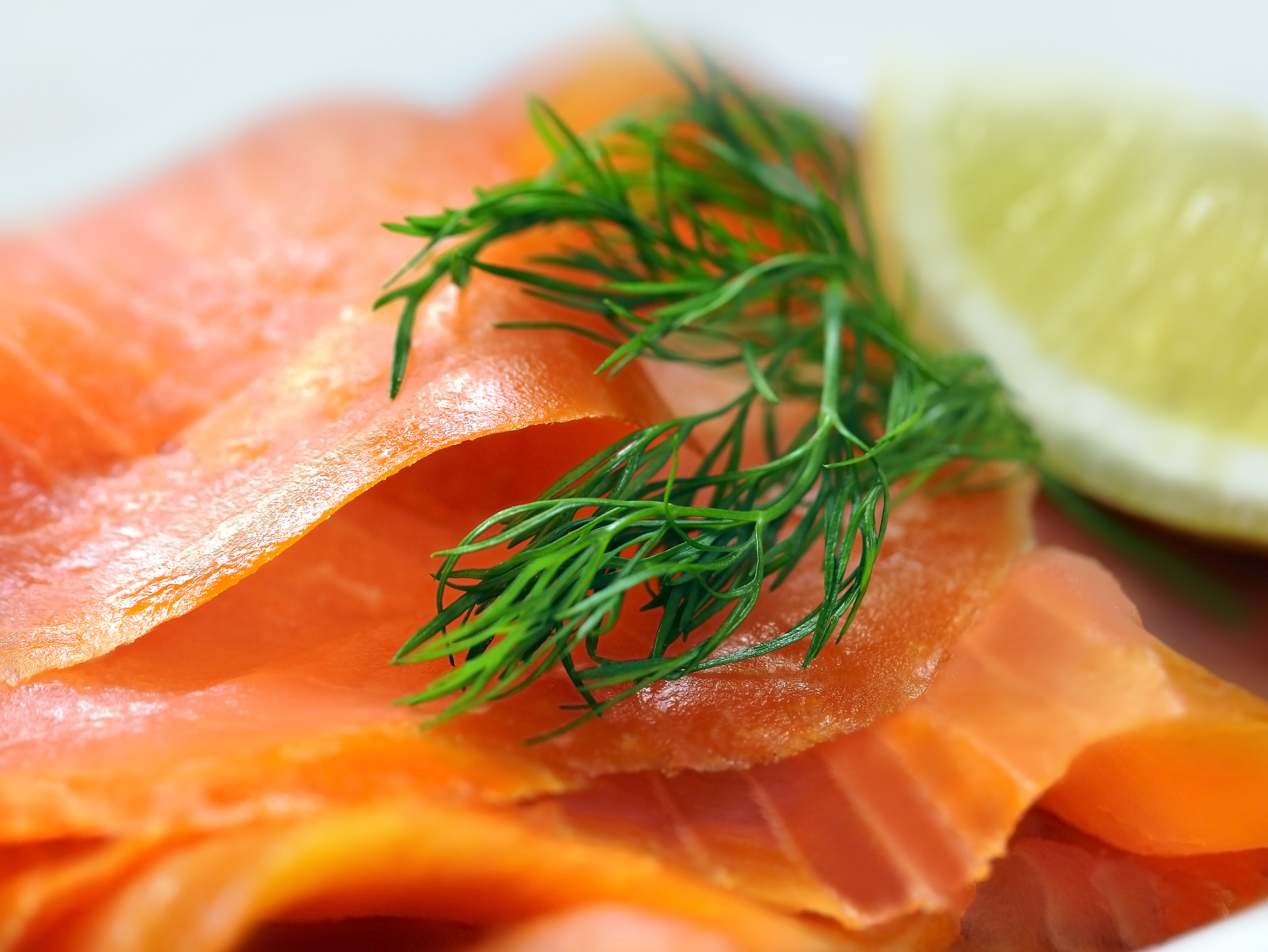 The Smoke Bloke Best Smoked Salmon Toronto, Ontario, Canada