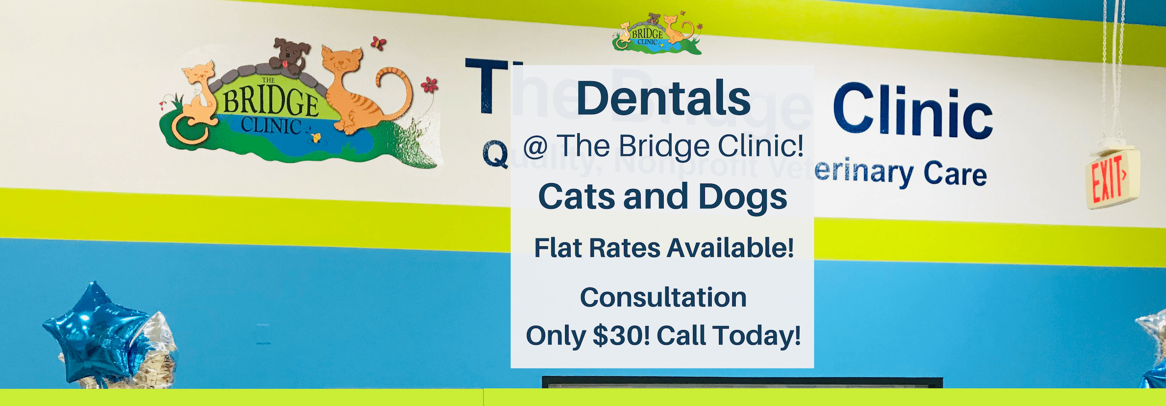 Nonprofit Veterinary Care The Bridge Clinic United States