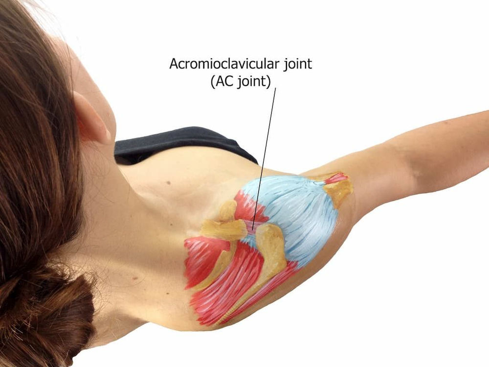 Acromioclavicular Joint (AC Joint) Injuries