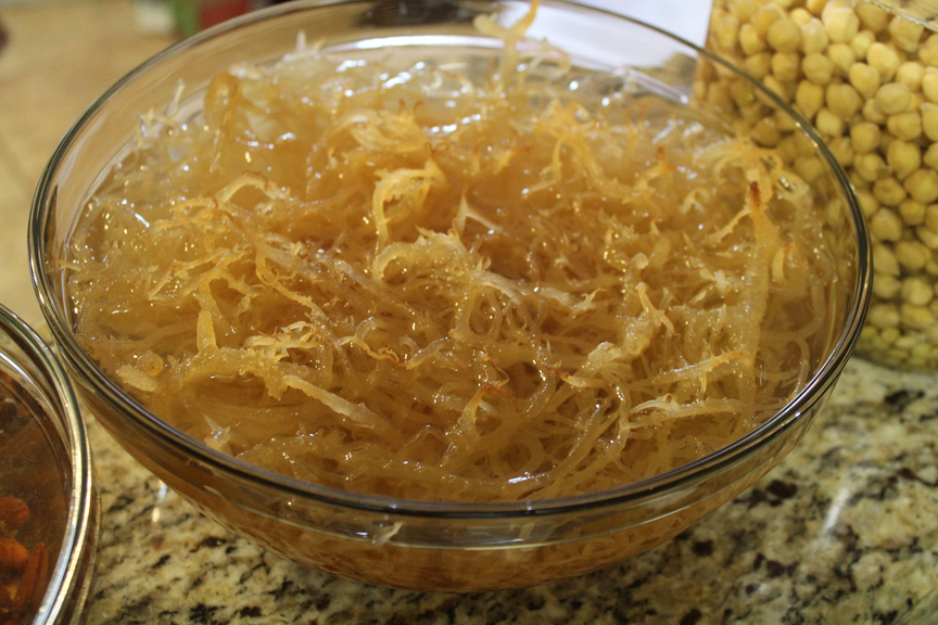 How to Make Sea Moss Gel Raw wild crafted Irish Sea moss United