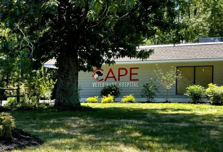 Rescue Portal Absecon Vet Hospital