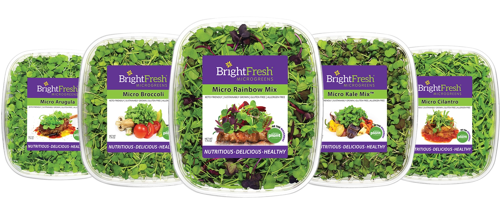 BrightFresh National Leader in Microgreens & Edible Flowers San Marcos