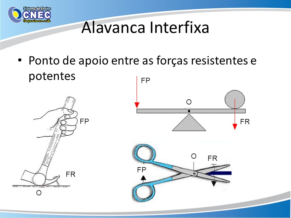 Exemplos De Alavanca Interfixa Inter Resistente E Interpotente Novo