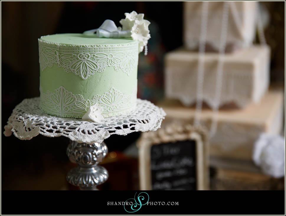 Teresas Custom Cakes Edmonton Cake Decorator