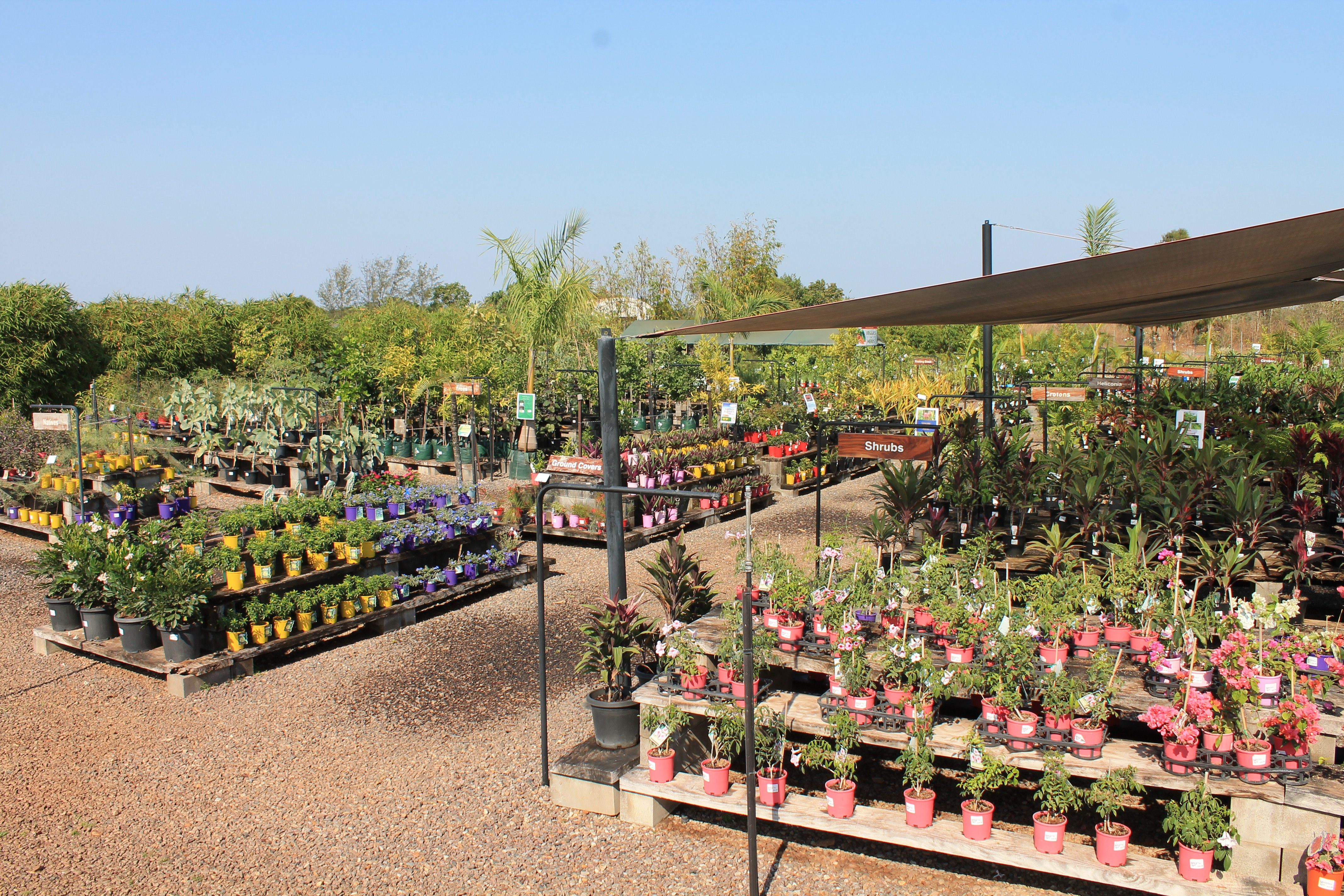 Retail Nursery Paradise Nursery Knuckey Lagoon