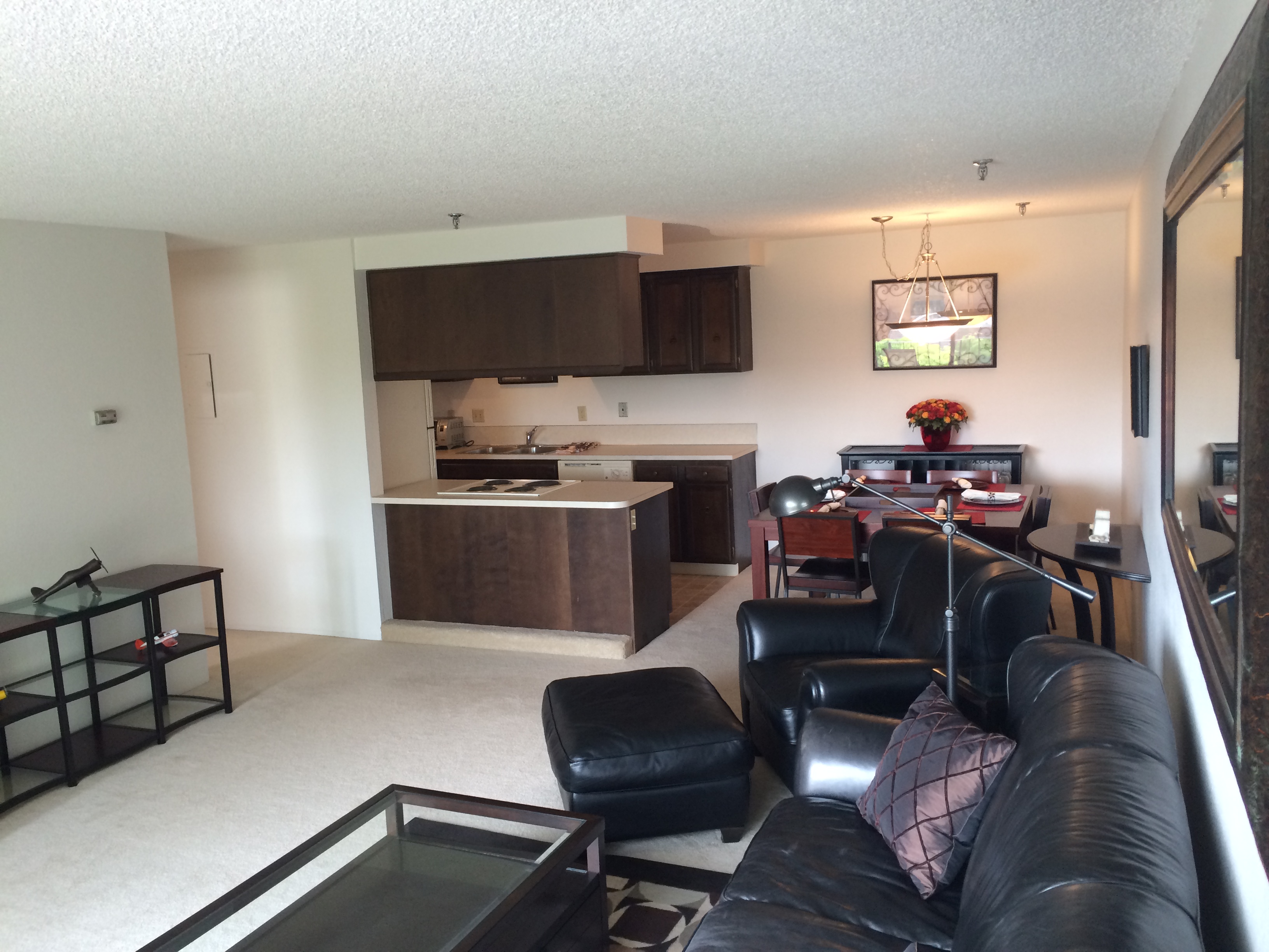 Park Plaza Apartments Corvallis One Bedroom