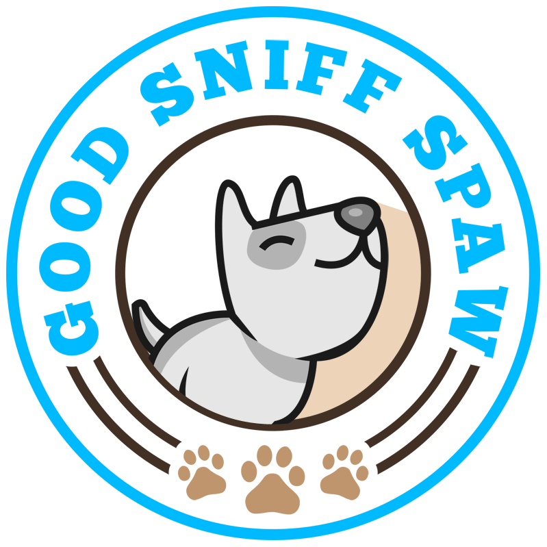 Tips For Choosing The Best Hotel For Your Dog Get Murder Files