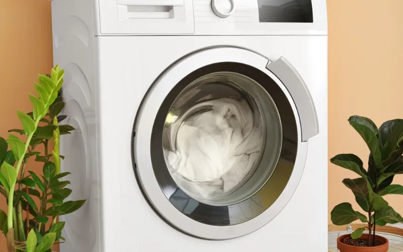 How to Wash Black and White Clothes Together? 5 Unparallel Laundry Tips