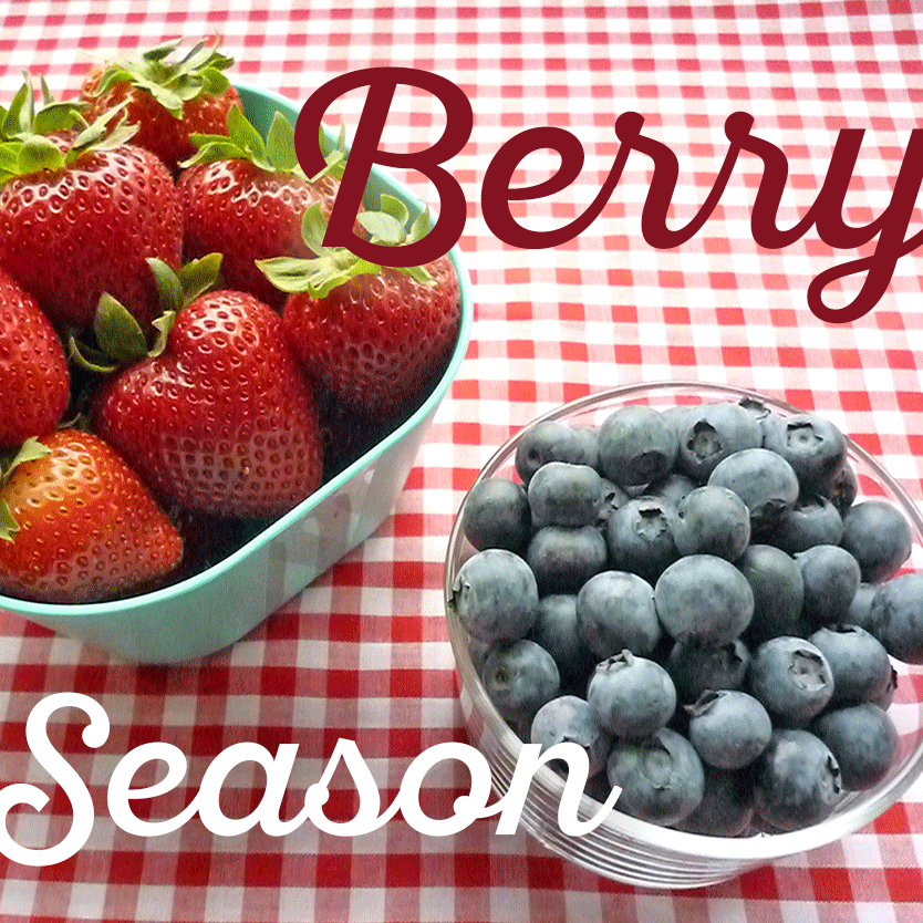 Summer Produce gifs jessicabaril