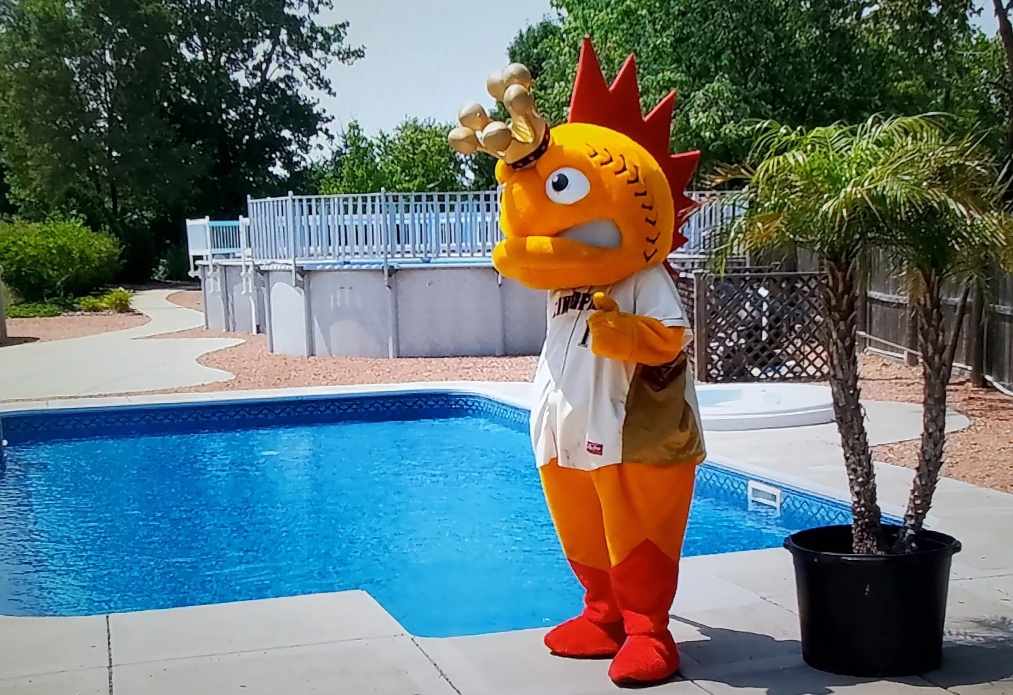 CONTACT US Doheny's Kenosha Store