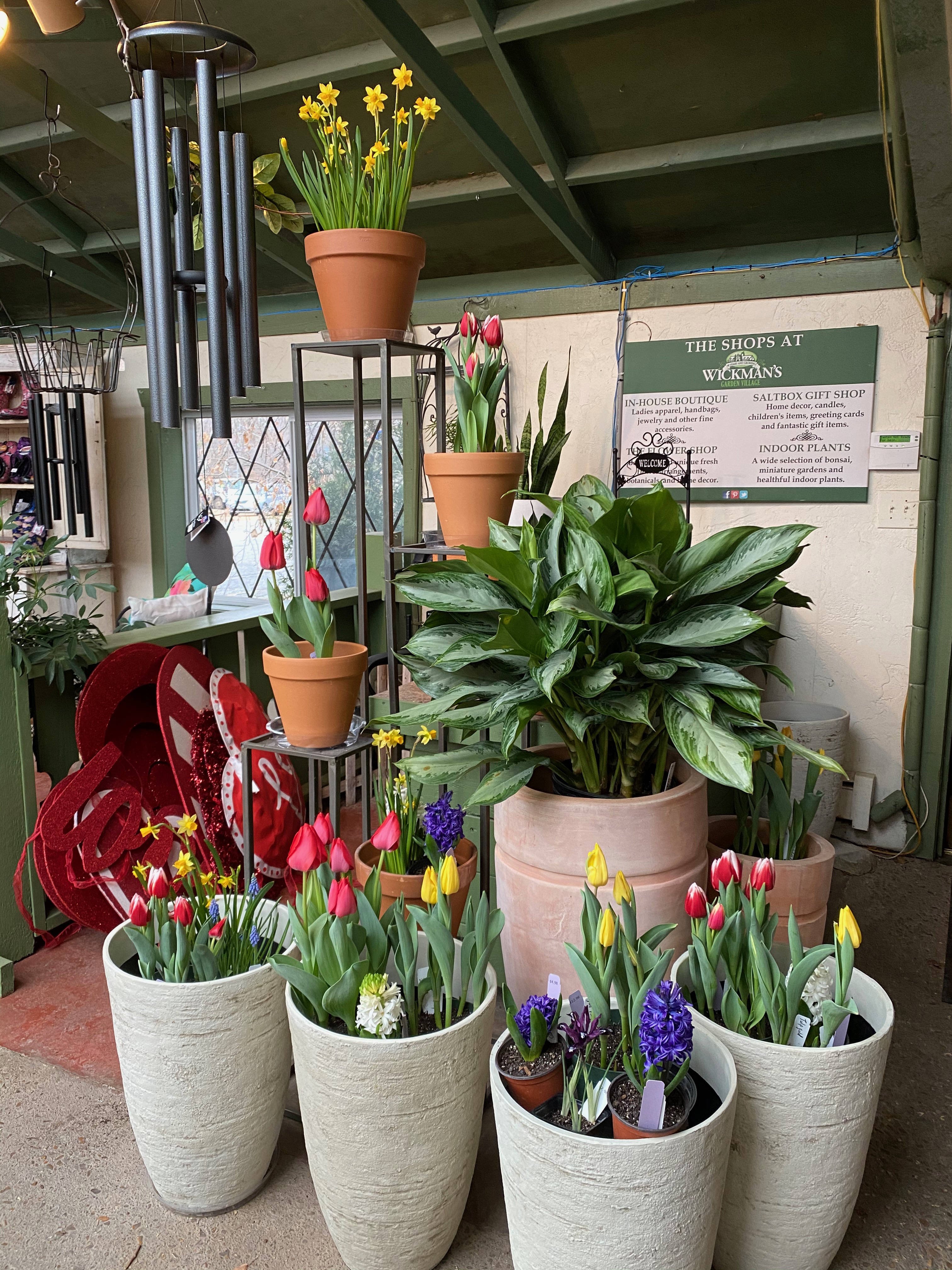 Springfield MO Garden Center & Nursery