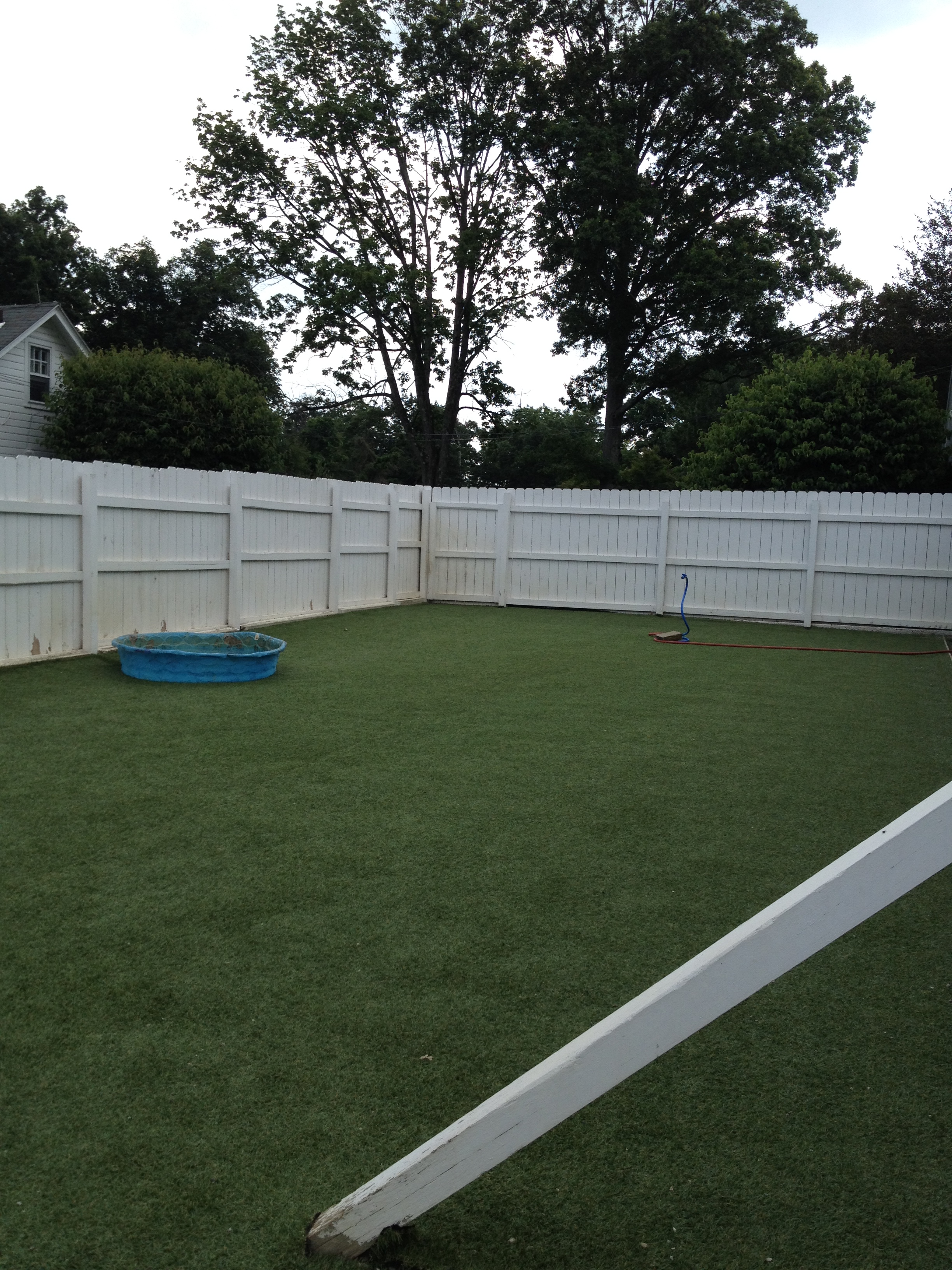 GALLERY lonepinekennel