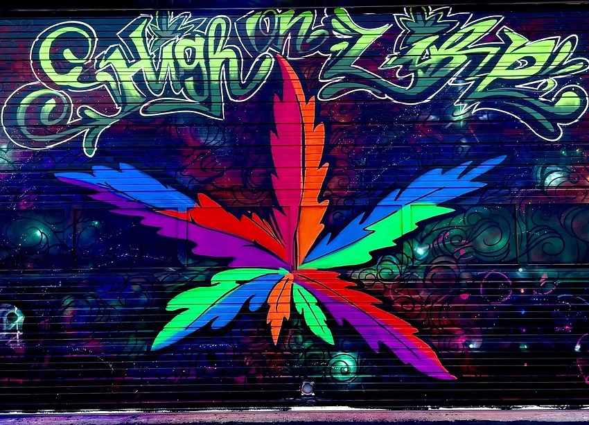 Best Dispensaries in Las Cruces New Mexico GreenState GreenState