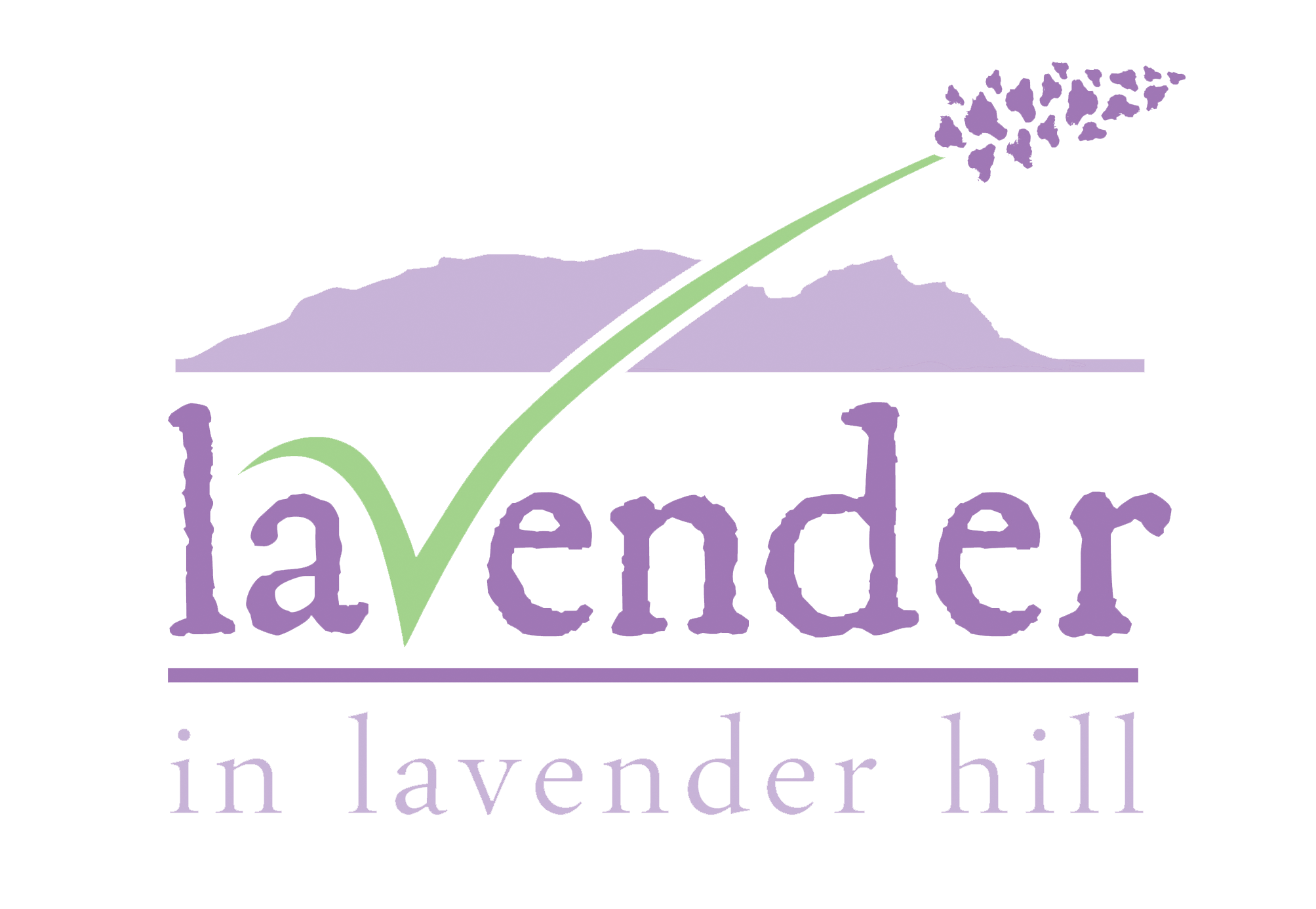 Lavender in Lavender Hill Products