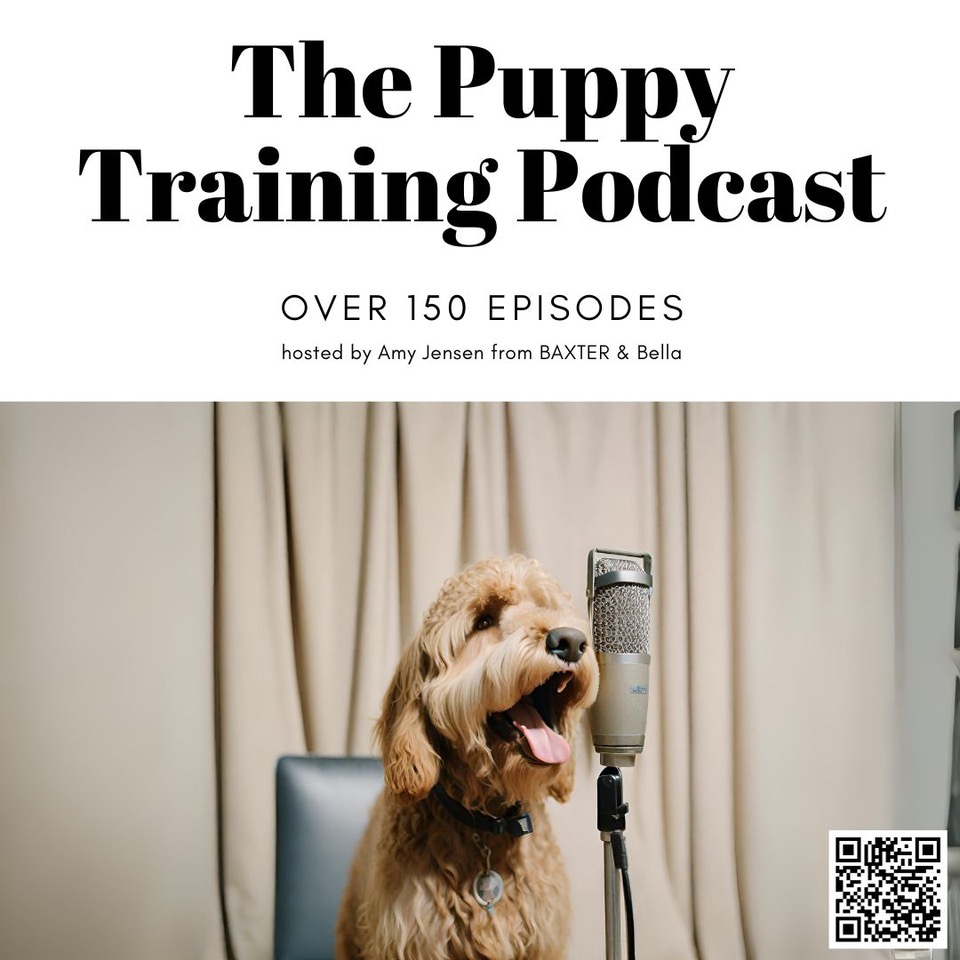 Partners POSTCARDS Online Dog Training BAXTER & Bella