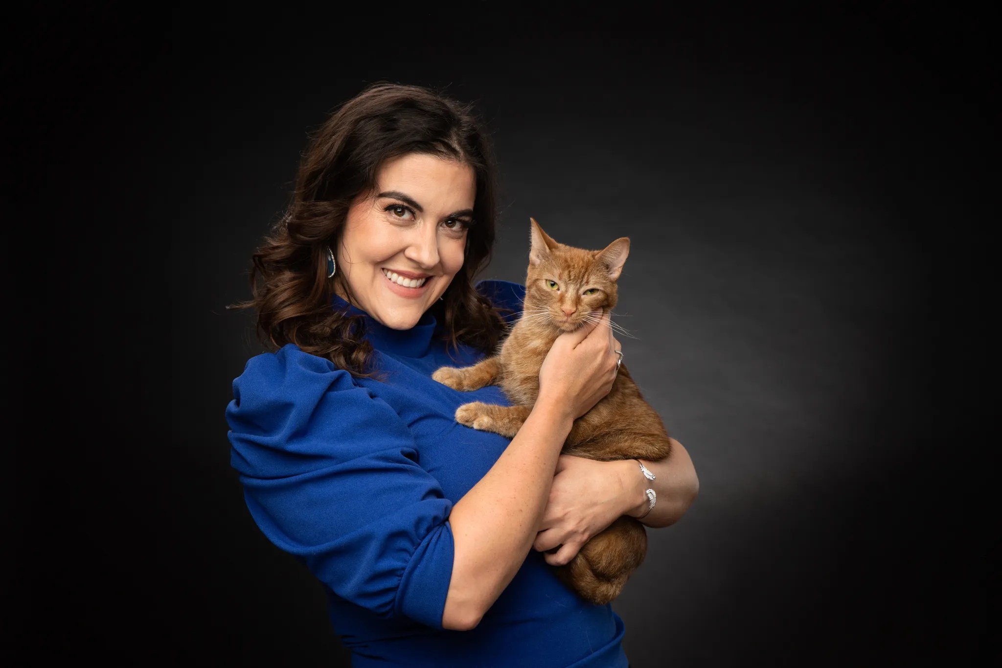 Cat Vet Philadelphia Art City Vets & Urgent Care