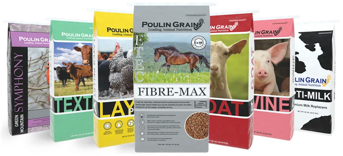 Poulin Grain Dirigo Ranch