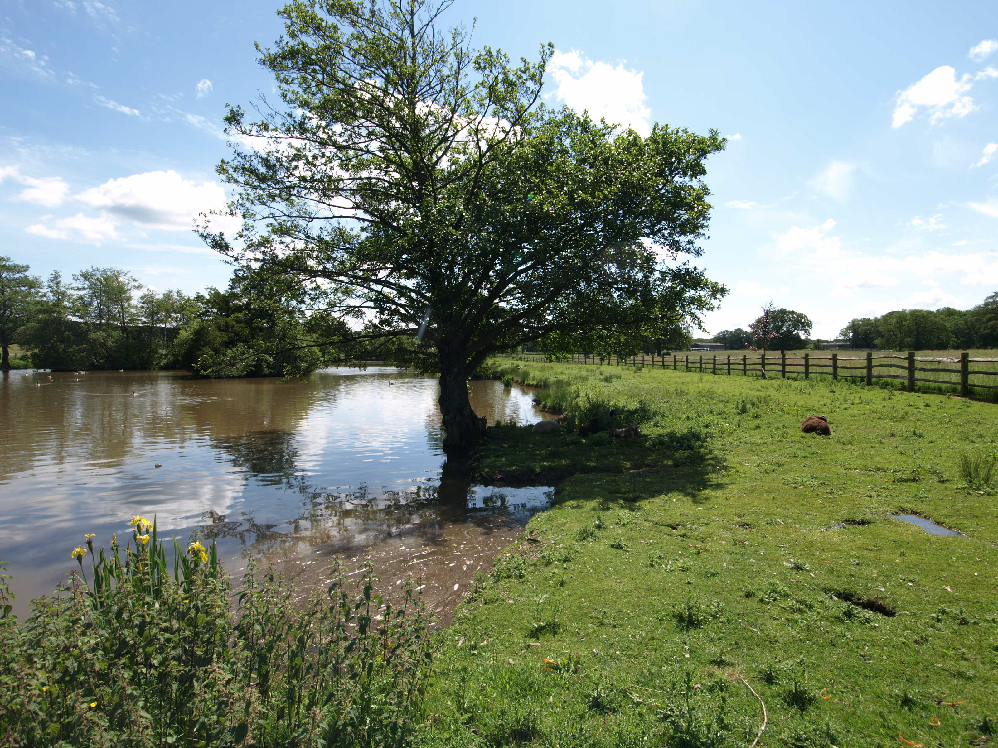 Estate Agents in Hassocks Sussex Marchants Estate Agents