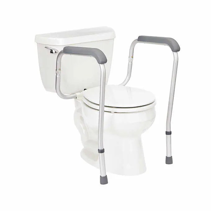 Guardian Toilet Safety Frame Mobility Equipment