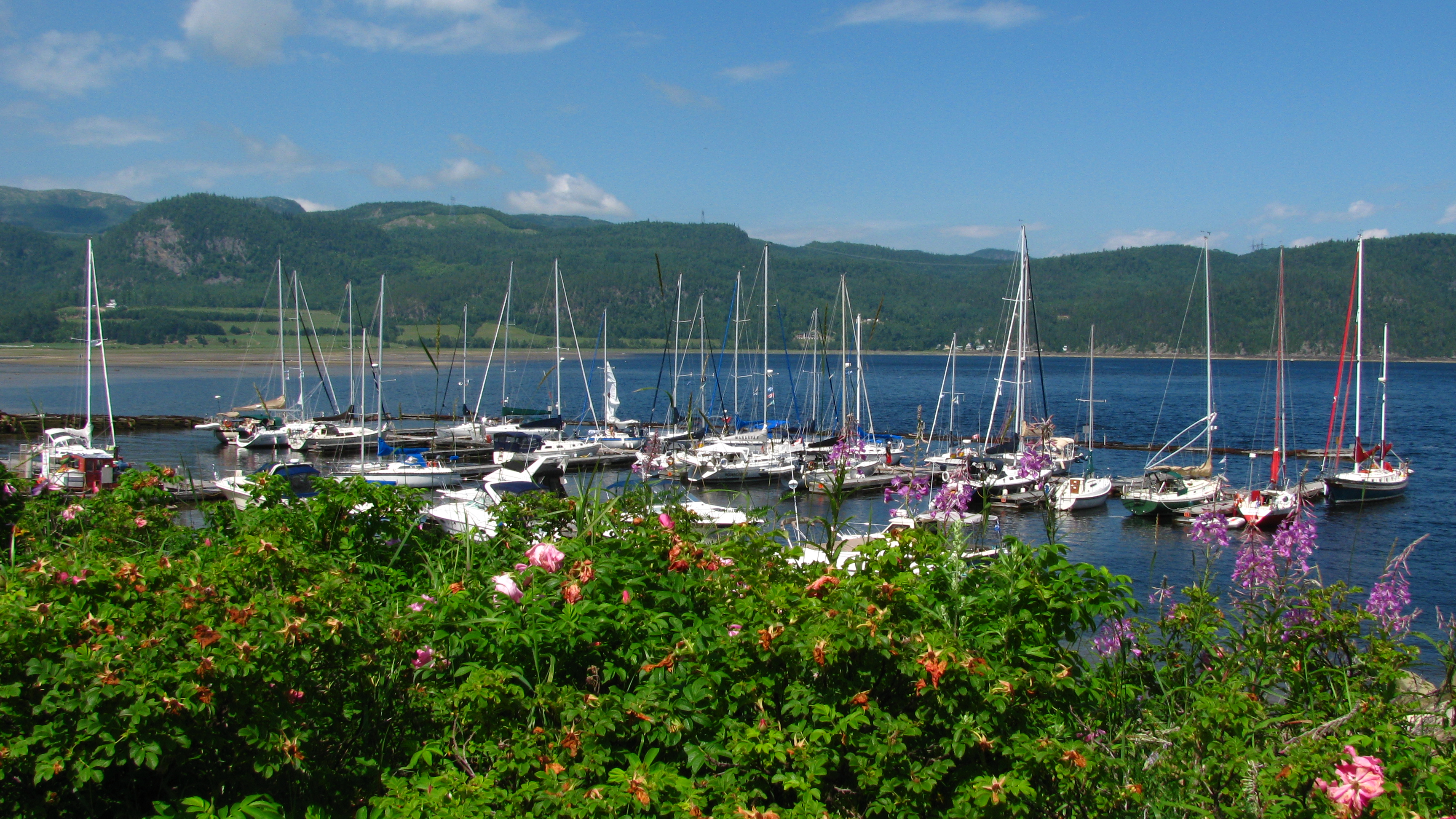 Club nautique de L'AnseSaintJean Marina
