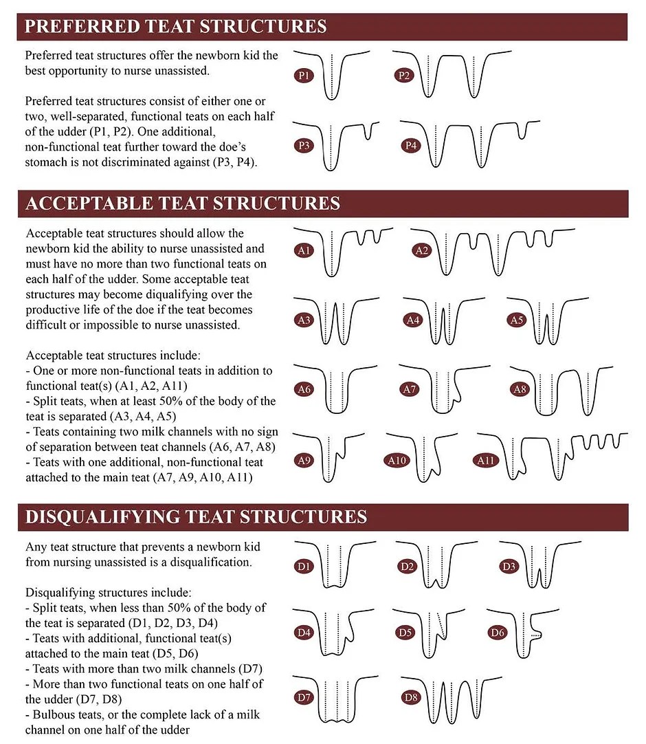 Breed Standards ABGA