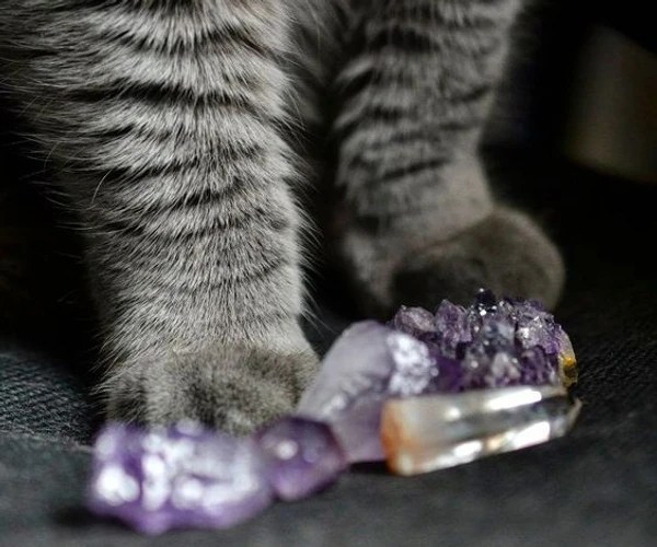 What Are The Best Healing Crystals For Cats?