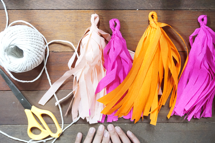 Crepe Paper Tassel Garland Just Rent It Malaysia